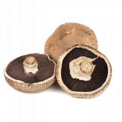 Cogumelos Portobello frescos com lamelas castanhas