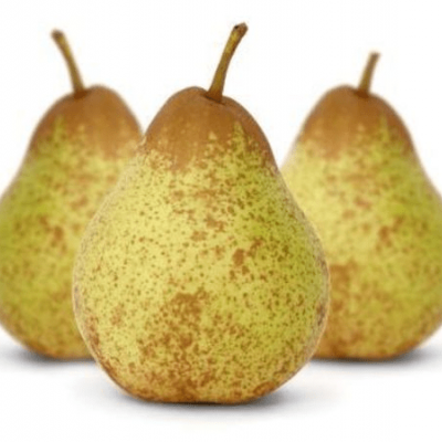 Três peras verdes com manchas castanhas em fundo branco