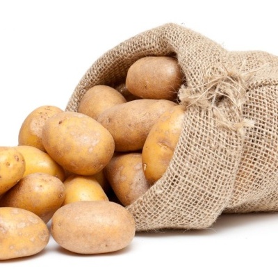 Sacos de juta com batatas amarelas frescas