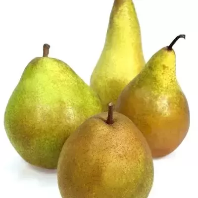 quatro pêras verde-amarelas sobre fundo branco