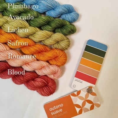 Oito molas de lã colorida e paletas de cores, com nomes das cores escritos ao lado