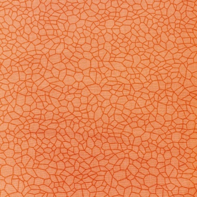 Tecido Essential Bear - Coral