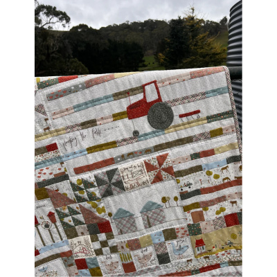Hatched and Patched | The Goat, the Goose, & and Cow Called Bruce Quilt