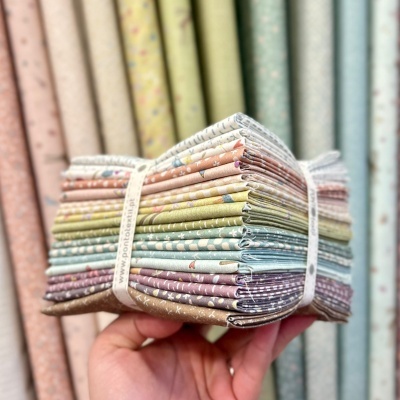 Anni Downs Fat-Quarter Bundle | Slow & Steady