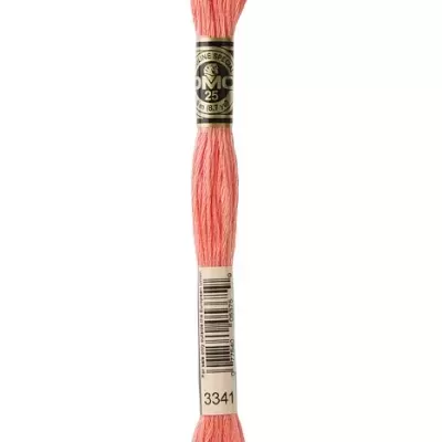 DMC | Mouliné Spécial - 960 a