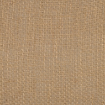 Serapilheira - Natural