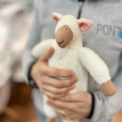 Kit Tilda | Little Lamb - Ovelhinha