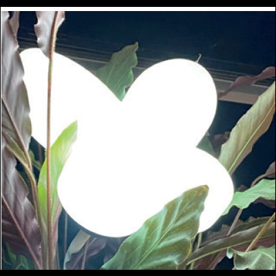 Luz LED branca em forma de borboleta entre folhas verdes escuras