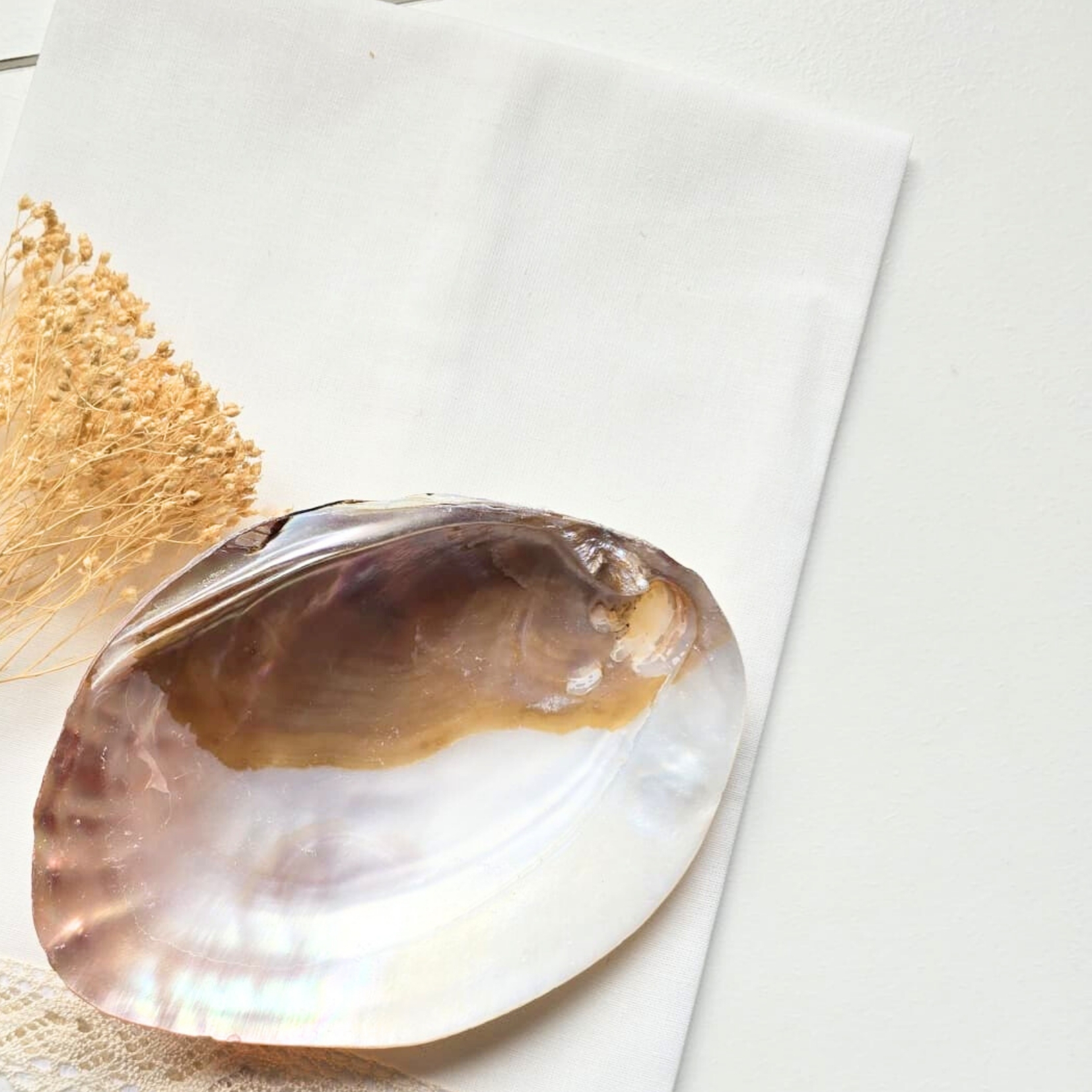Concha marinha grande bege e castanha sobre tecido branco com flores secas
