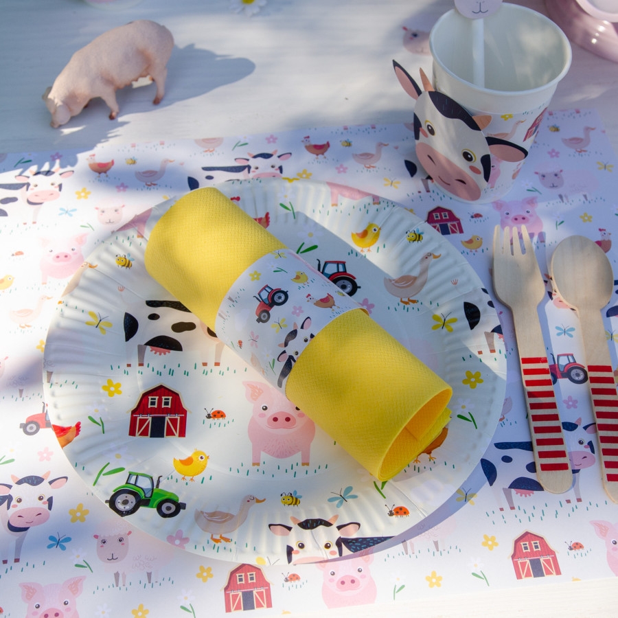 Conjunto de festa infantil com tema de quinta em papel e plástico colorido