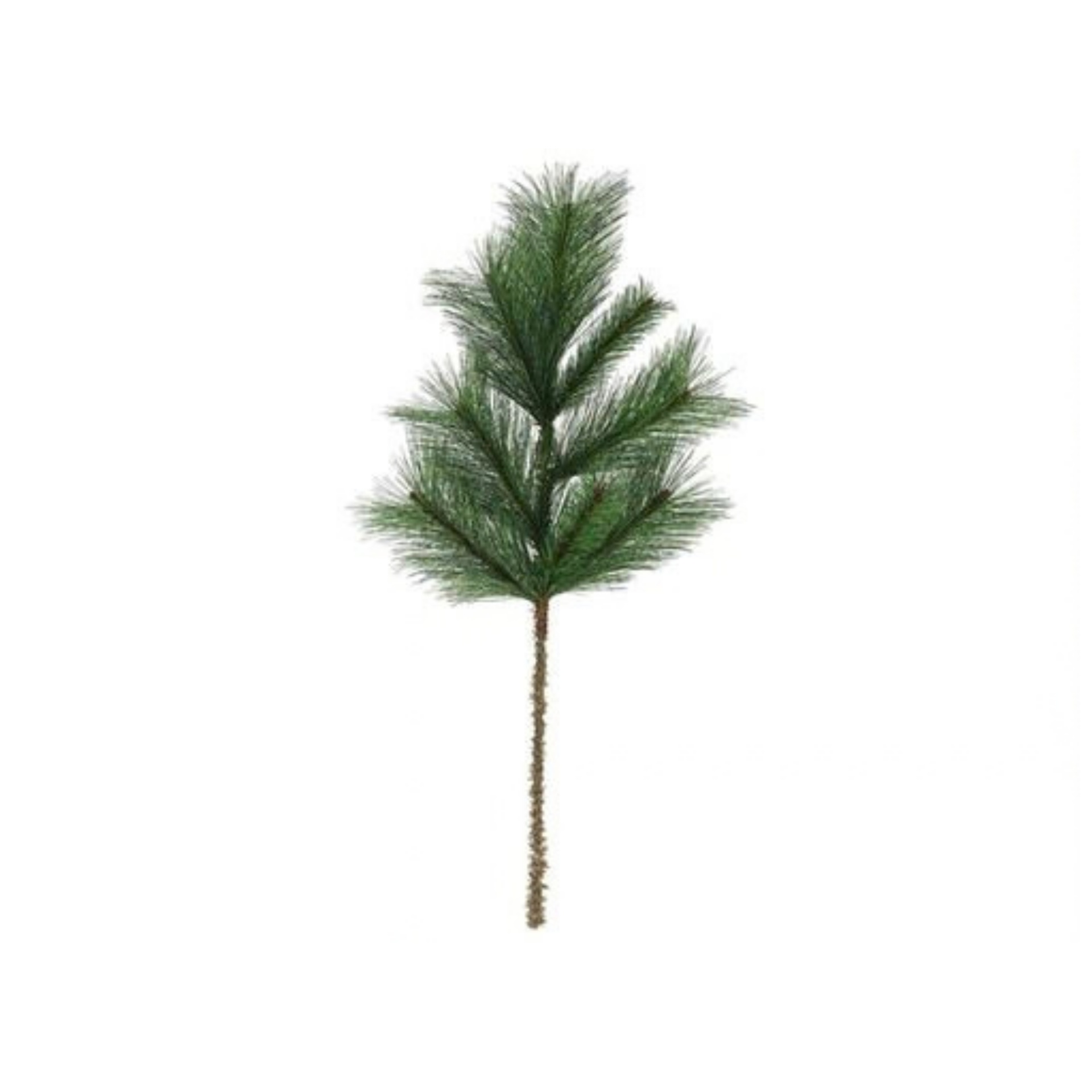 HASTE PINHEIRO SELVAGEM 70CM