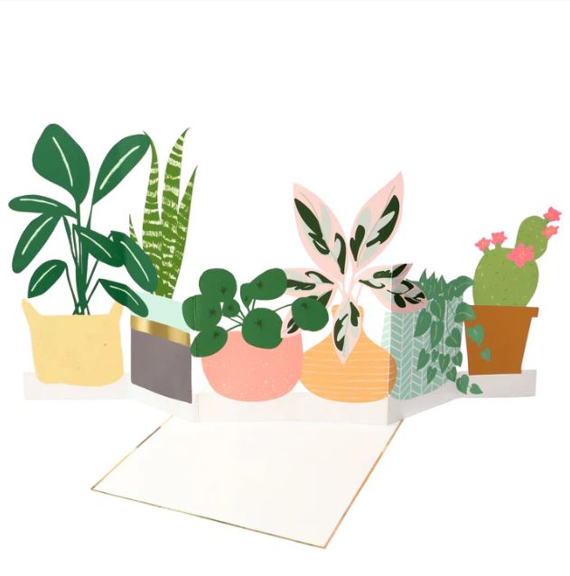 Cartão pop-up com ilustrações de plantas em vasos coloridos