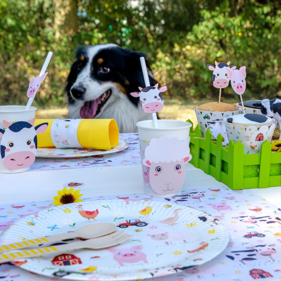 Mesa de festa infantil decorada com tema de animais da quinta e cão ao fundo