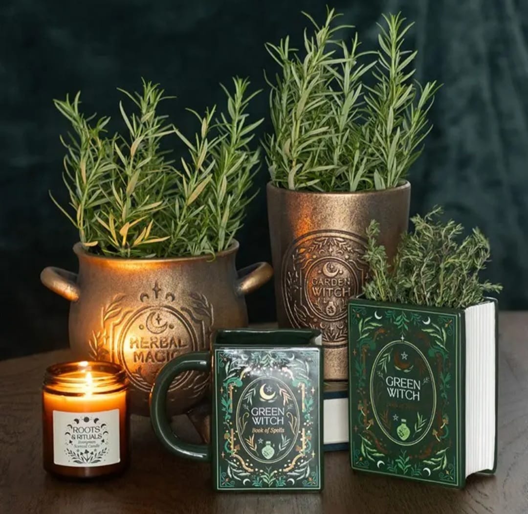 Plantas aromáticas em vasos decorativos metálicos com vela e caneca verde com tema de bruxaria