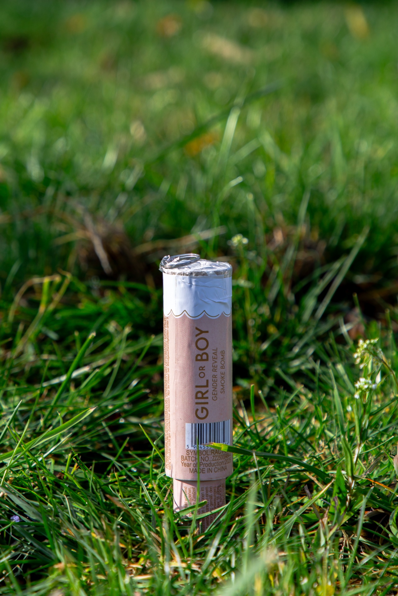 Revelador de género GIRL or BOY na relva
