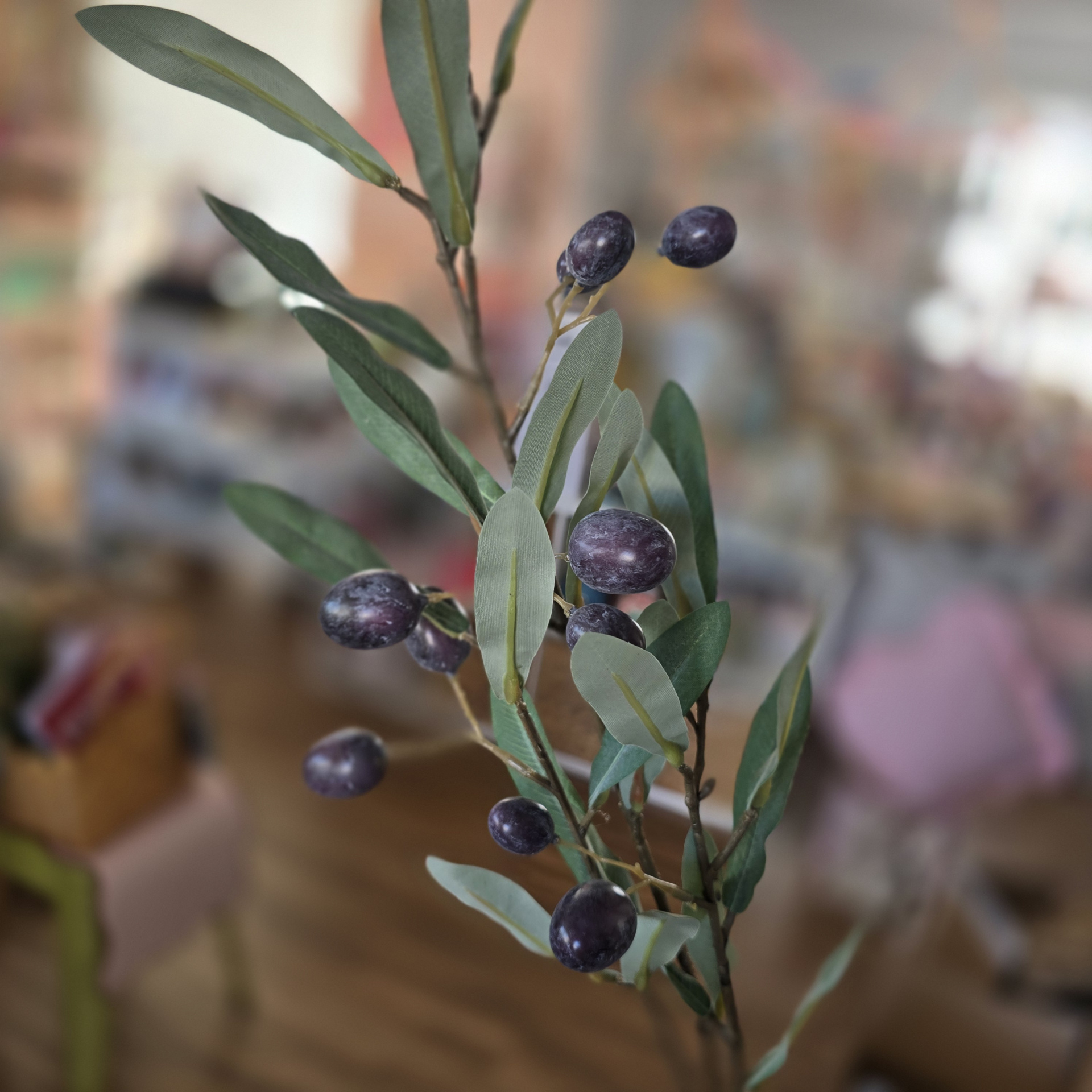 Galho decorativo com folhas verdes e azeitonas escuras em fundo interior desfocado