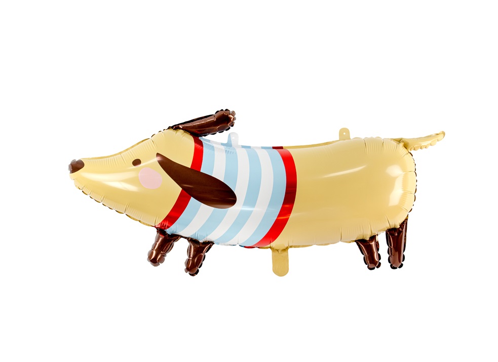 Balão festa cão salchicha com riscas azuis e vermelhas