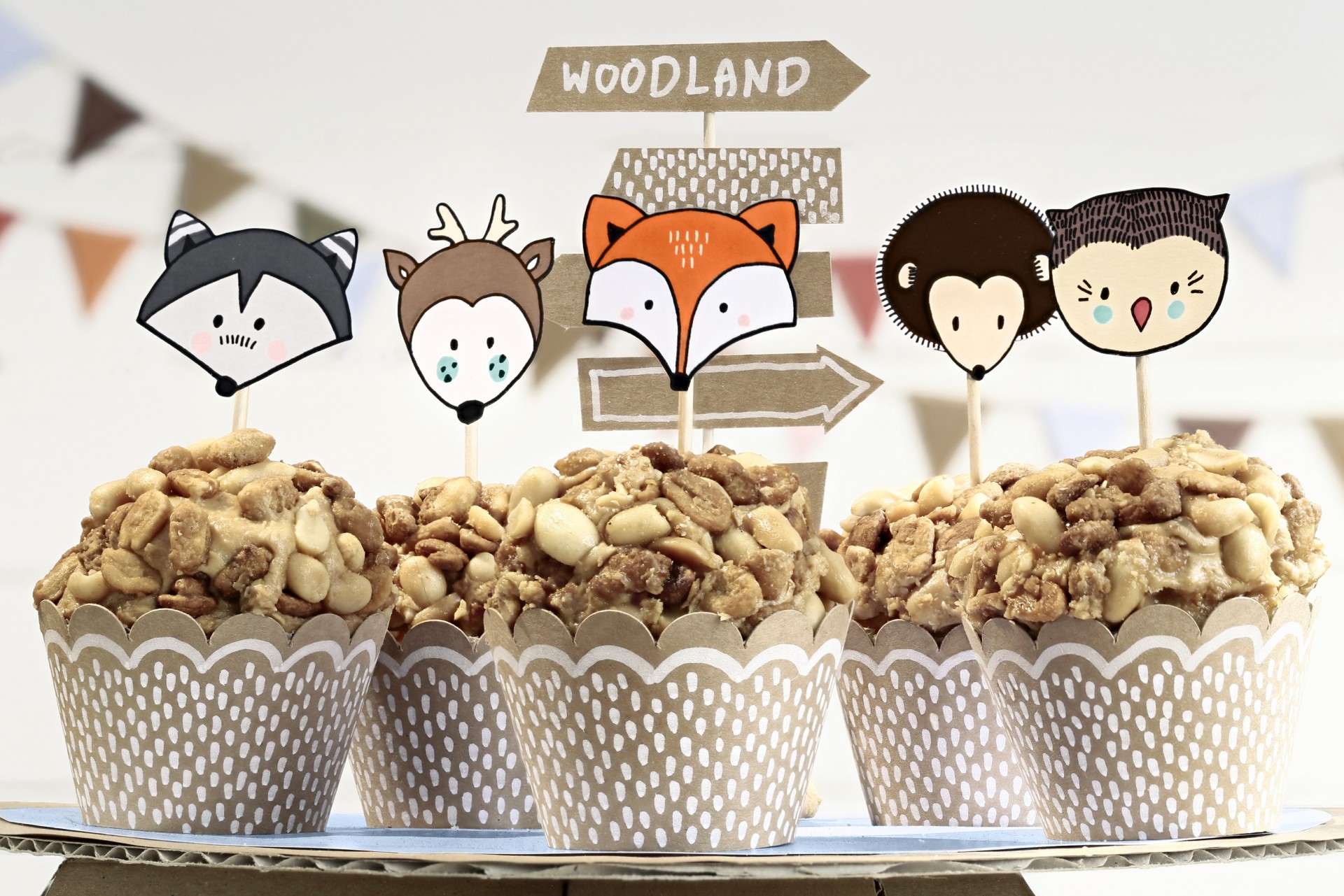 Cupcakes com decoração de animais de papel e nozes em embalagem decorativa branca com padrão