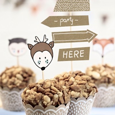 Cupcakes com frutos secos em forminhas castanhas brancas decoradas com toppers de festa Woodland.