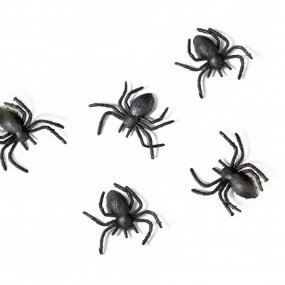 Aranhas falsas de plástico pretas sobre fundo branco