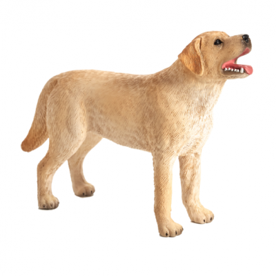 Figurinha de cão Labrador Retriever castanho claro em fundo branco