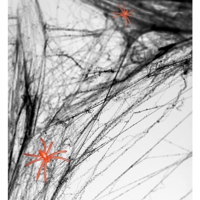 Dupla de aranhas alaranjadas sobre rede branca e preta