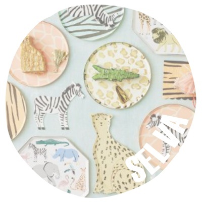 Conjunto de pratos decorativos com padrões de animais selvagens e texturas de pele