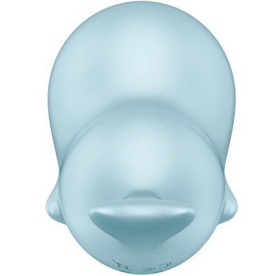 Balão azul em forma de pato visto de cima