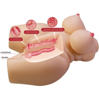 Modelo anatómico do tronco feminino com seios e órgãos genitais