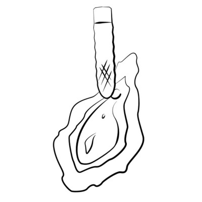 Desenho preto e branco de ostra com concha e luva texturizada