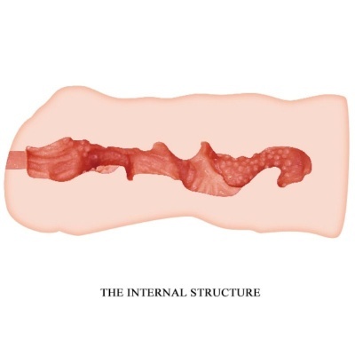 Estrutura interna detalhada vermelha dentro de molde rosado