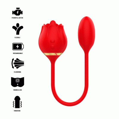 Brinquedo sexual vibratório vermelho em formato de rosa com cable flexível e ícones de funcionalidade