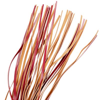 Tiras finas de couro castanho e vermelho sobre fundo branco