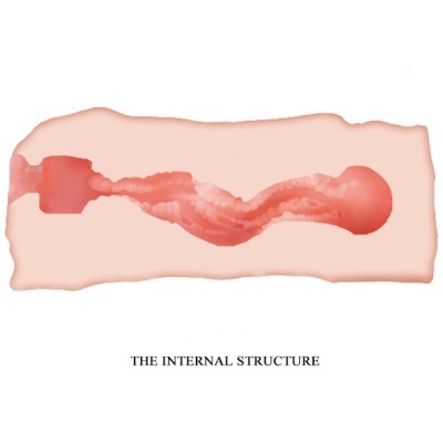 Ilustração da estrutura interna de um objeto alongado em tons vermelhos