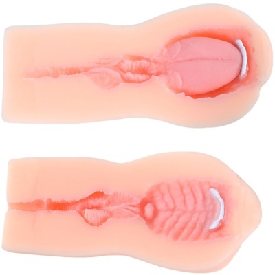 Modelos anatómicos de silicone de órgãos sexuais femininos em rosa claro