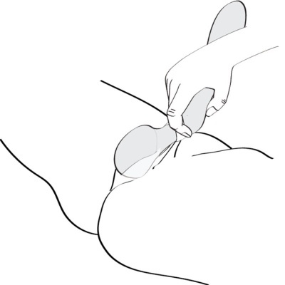 Ilustração de uma mão a segurar uma colher aplicada numa superfície arredondada