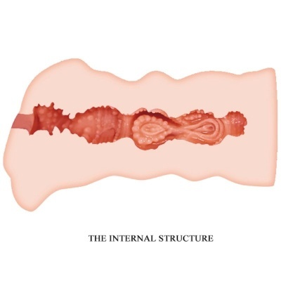 Representação da estrutura interna em corte transversal com várias texturas vermelhas