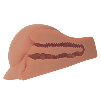 Modelo anatómico masculino em silicone cortado para mostrar interior texturado