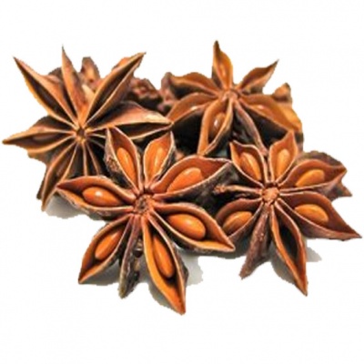 Estrelas de anis secas castanhas sobre fundo branco