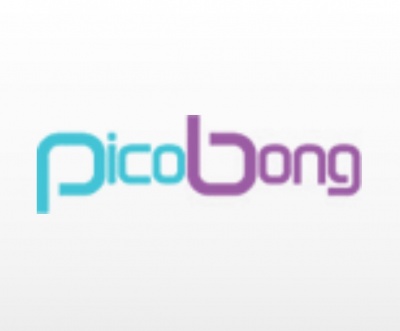 Logótipo azul e roxo com texto 'picobong'