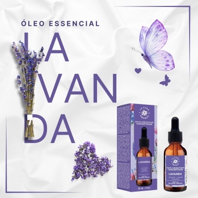 Óleo essencial de lavanda com frasco, embalagem, flores secas de lavanda e borboleta lilás