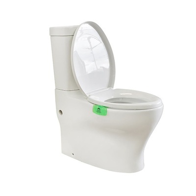 Sanita branca em cerâmica com tampa levantada e etiqueta verde
