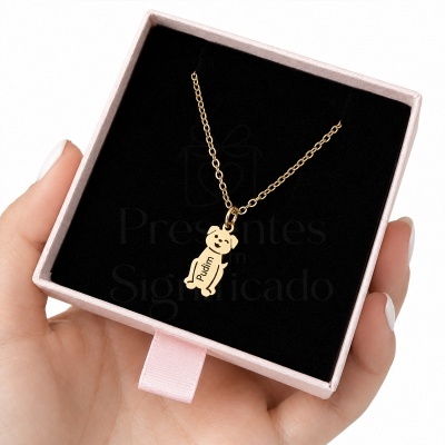 Colar dourado com pendente de cão e caixa de joias rosa