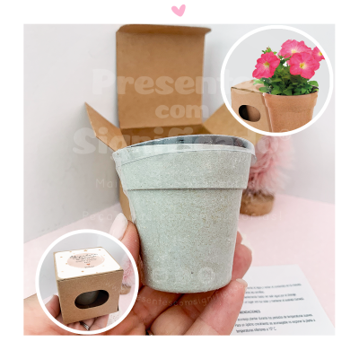 Vaso cinzento claro pequeno com caixa de cartão castanho e imagens de flores.