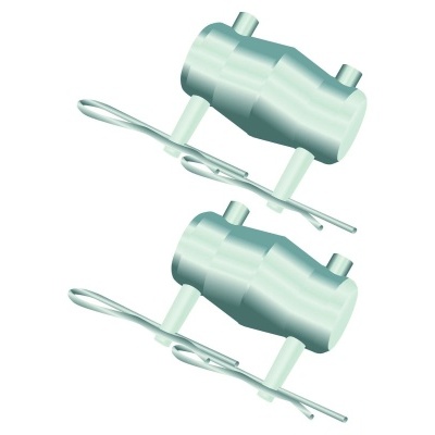 Dois parafusos metálicos prateados para fixação