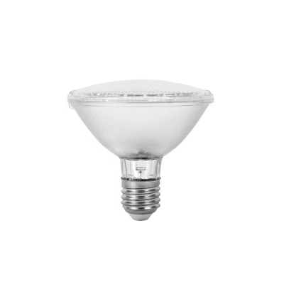 Lâmpada LED PAR30 com vidro fosco e base metálica