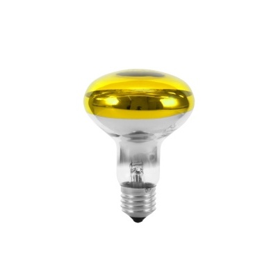 Lâmpada com topo dourado e base transparente sobre fundo branco