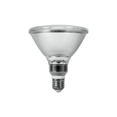 Lâmpada PAR30 de vidro transparente com base metálica