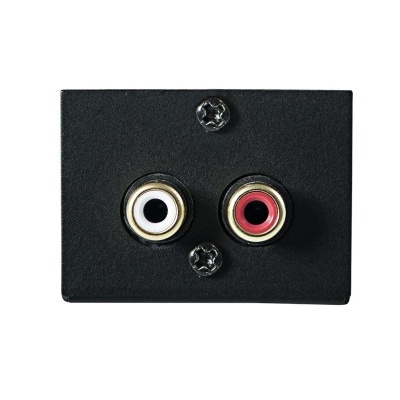 Painel preto com duas tomadas RCA para áudio