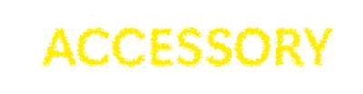 ACCESSORY